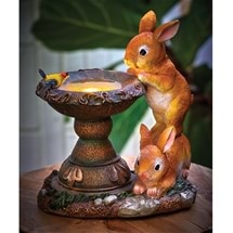 Bunnies at Fountain Light