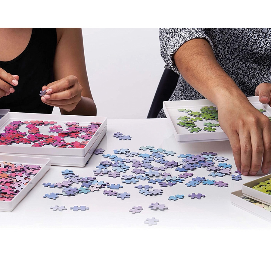 Puzzle Sorter Set - Innovations