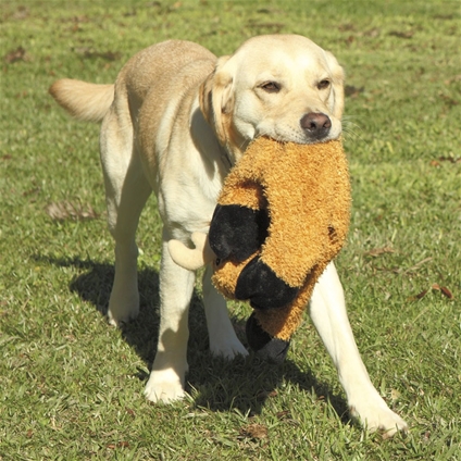 dog toys without stuffing and squeakers